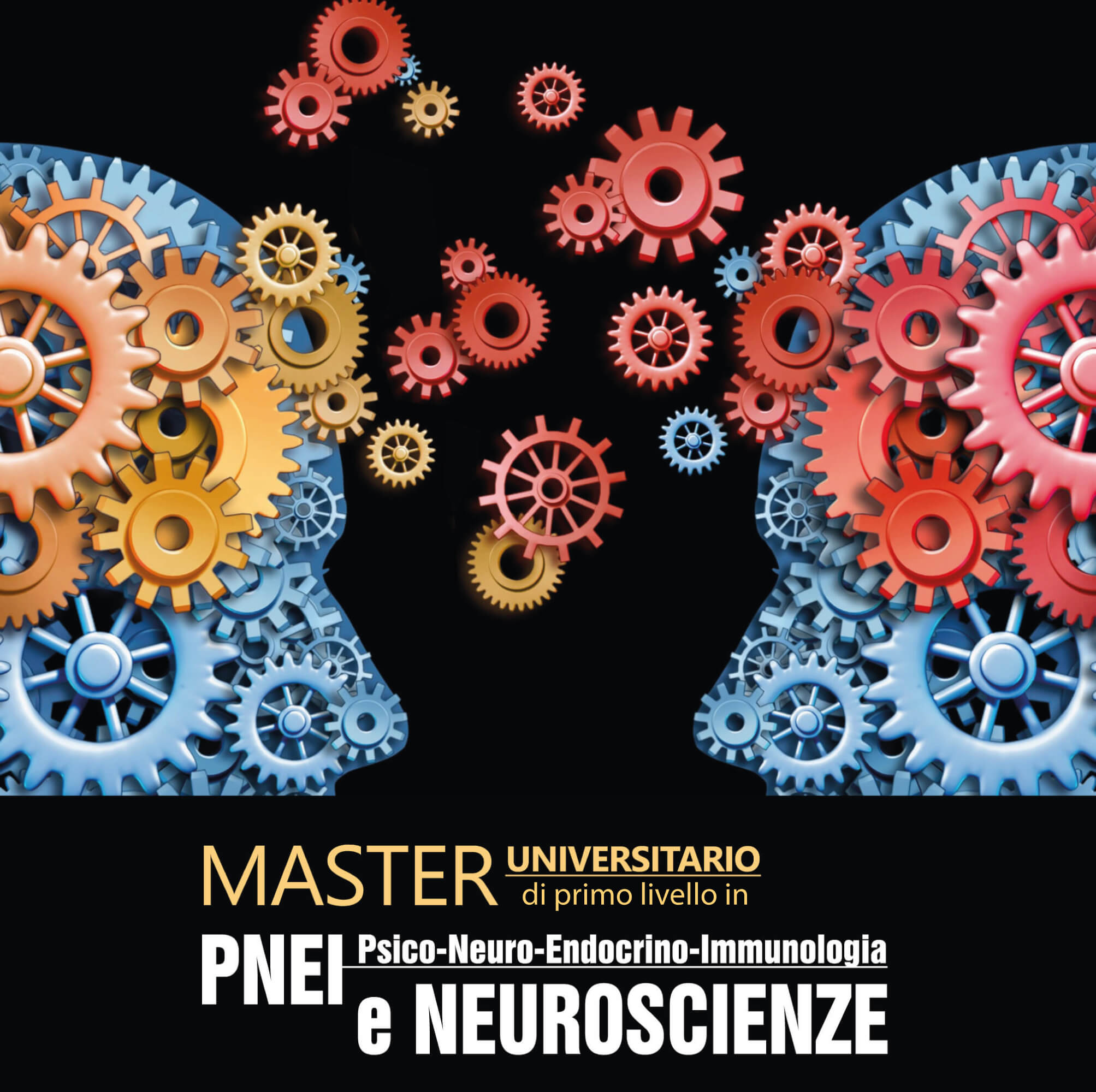 Psico-Neuro-Endocrino-Immunologia (PNEI) e Neuroscienze – Master universitario di primo livello